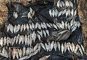 Цена рыбалки: почти 9 000 рублей плюс уголовная статья