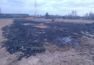 Два человека получили ожоги в Быховском районе при сжигании сухой растительности