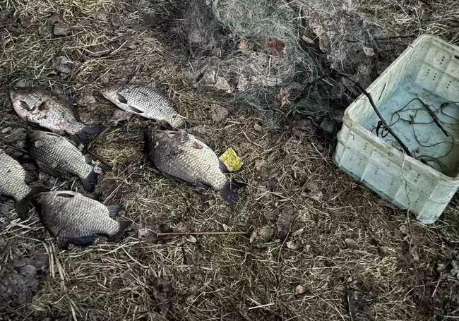 Бобруйчанину рыбалка обошлась почти в 500 рублей