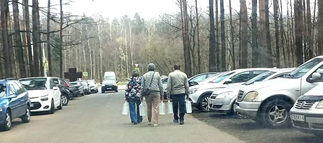 «И Родина щедро поила меня березовым соком…»