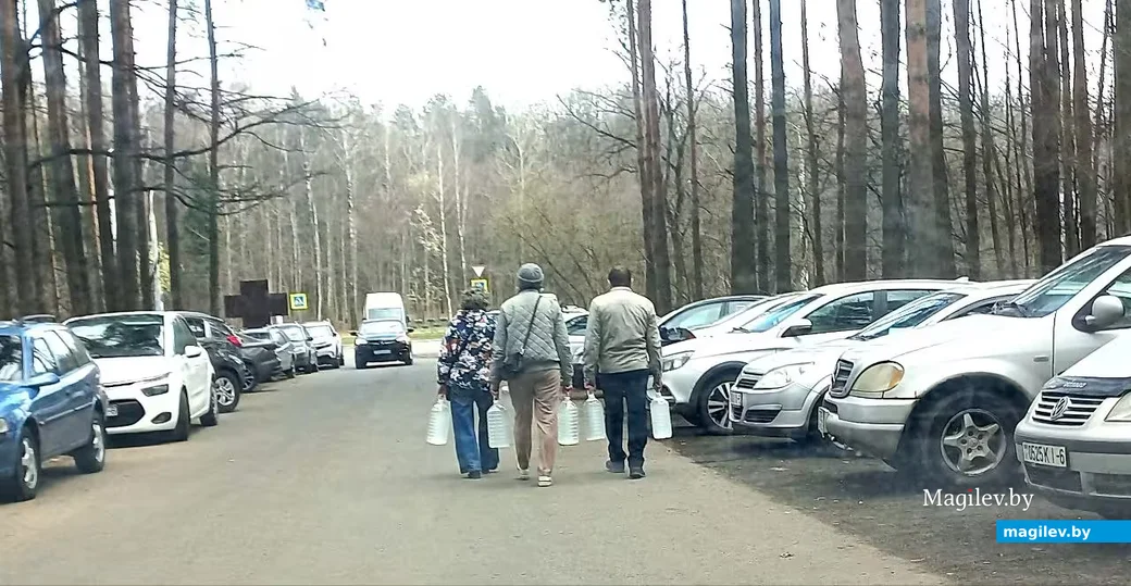  01.03.2026, Могилев. Продажа сока в Могилевском лесхозе.