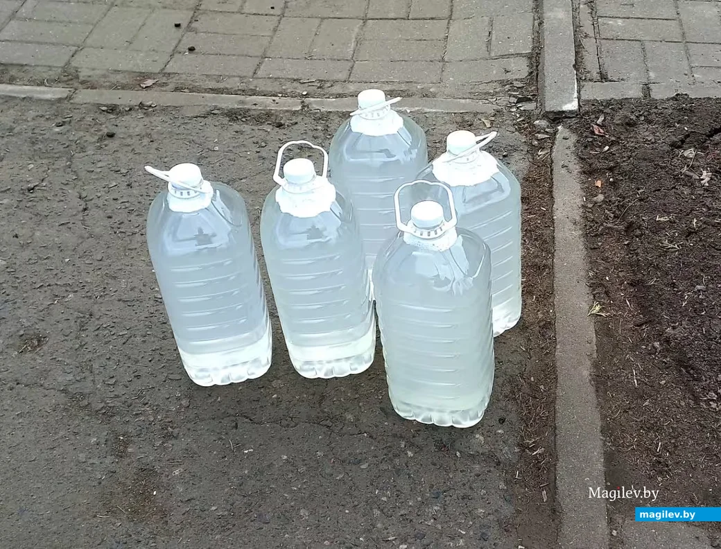   01.03.2026, Могилев. Продажа сока в Могилевском лесхозе.