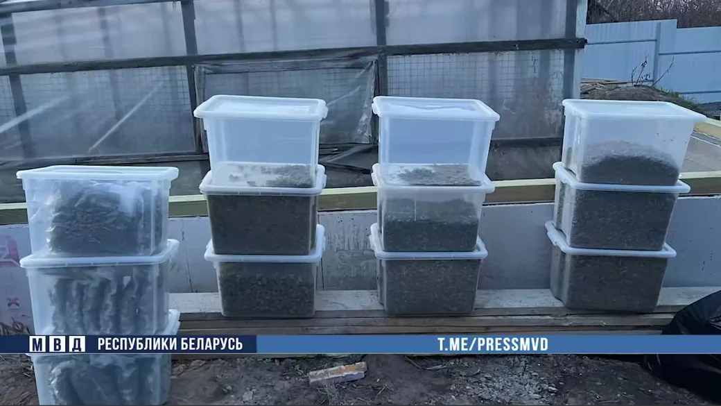  Скан с видео МВД Беларуси