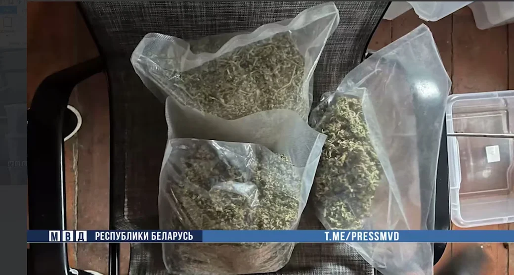  Скан с видео МВД Беларуси