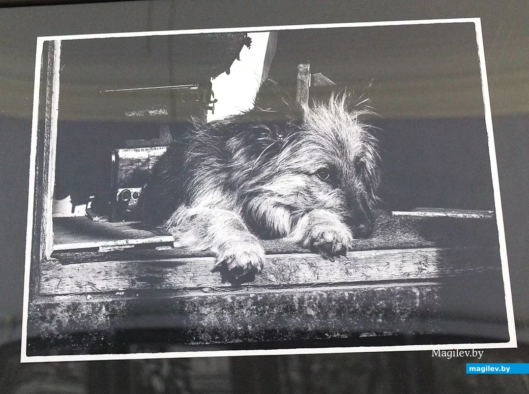  09.04.2026. Могилев. Открытие выставки Александра Ченцова «Фотографический калейдоскоп».