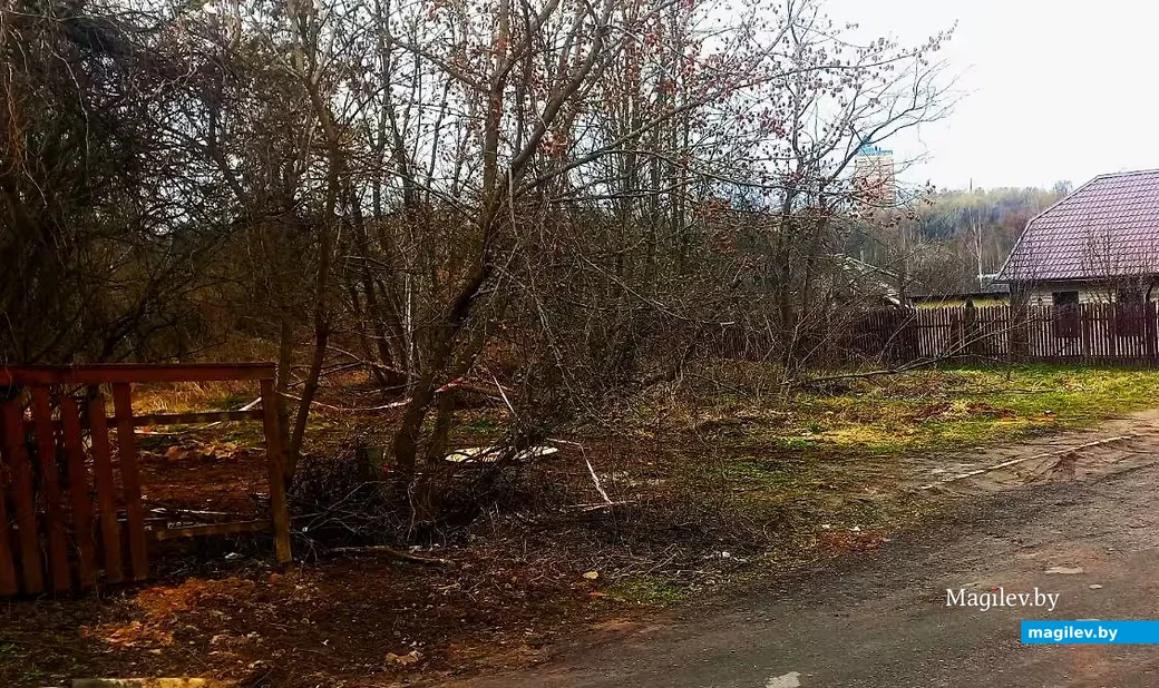    10.04.2026, Могилев. ул. Тимирязевская.