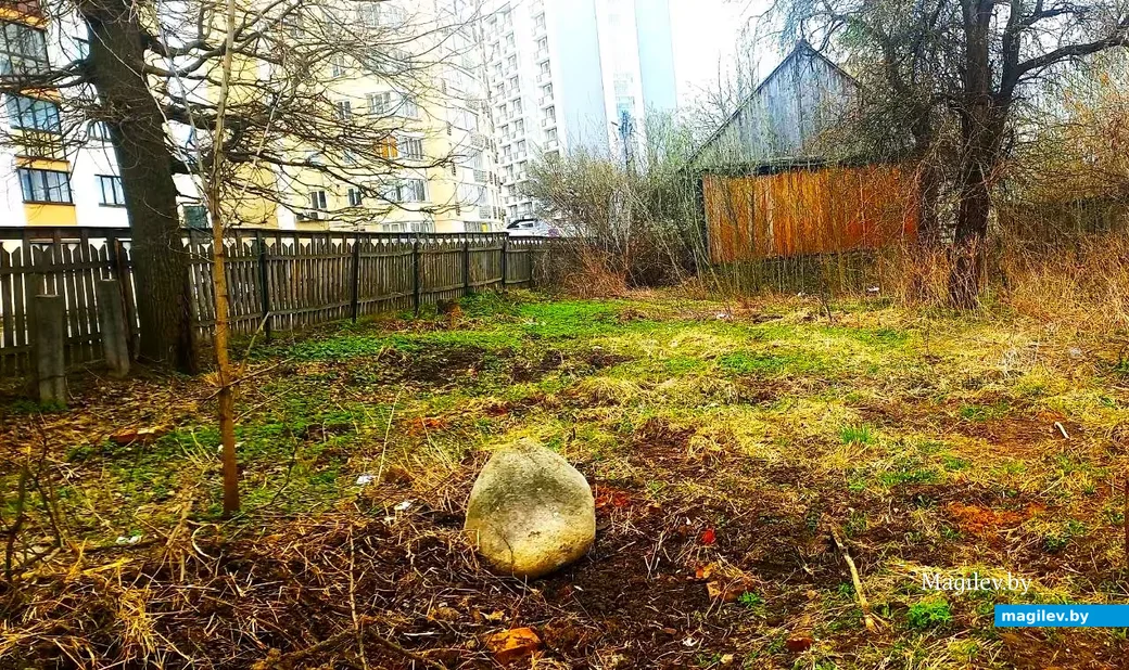   10.04.2026, Могилев. ул. Тимирязевская.