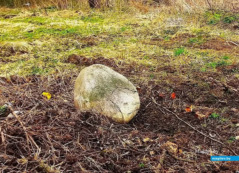   10.04.2026, Могилев. ул. Тимирязевская.