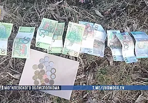 В Могилевском районе мужчина украл у тещи своего работодателя 4 тысячи рублей