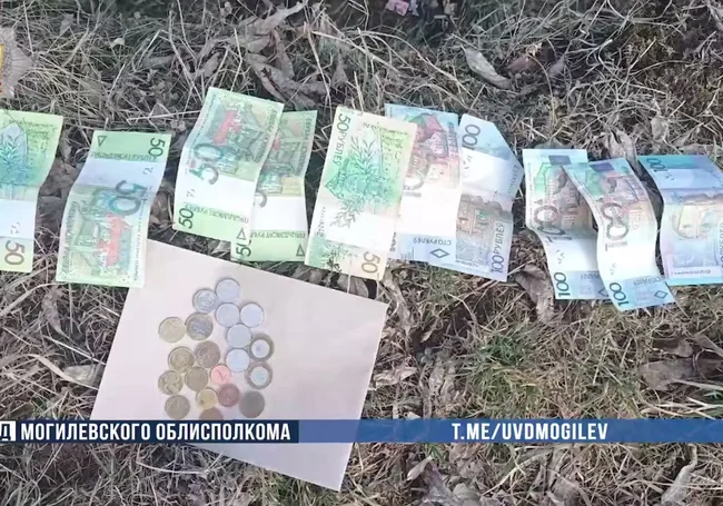 В Могилевском районе мужчина украл у тещи своего работодателя 4 тысячи рублей