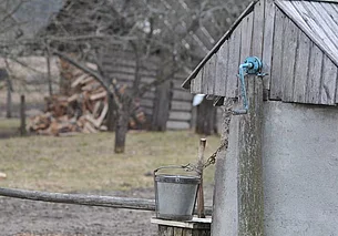 Госкомимущество: больше половины пустующих домов в Беларуси купили за одну базовую