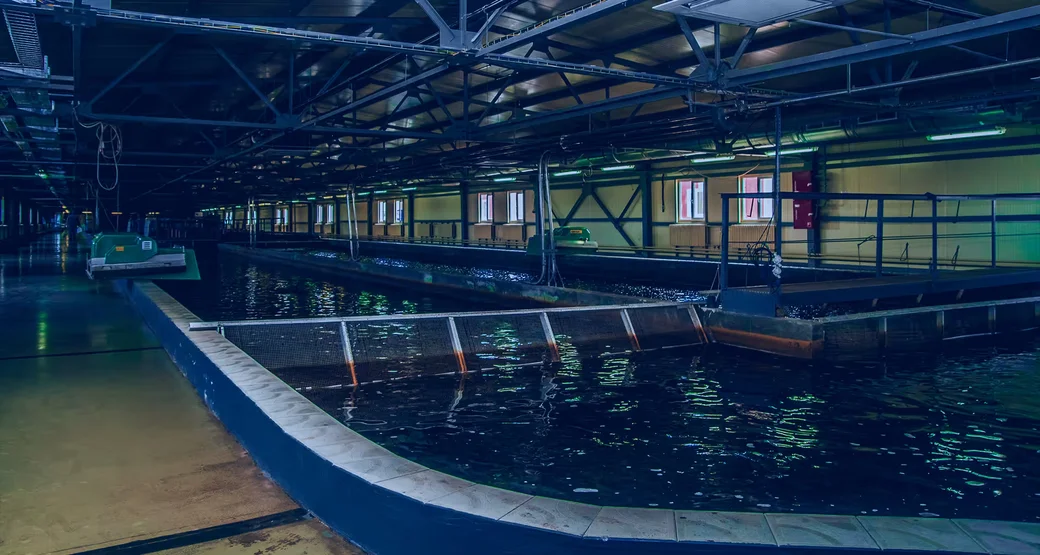  Форелевое хозяйство «Лохва». Фото: lahva.by. 