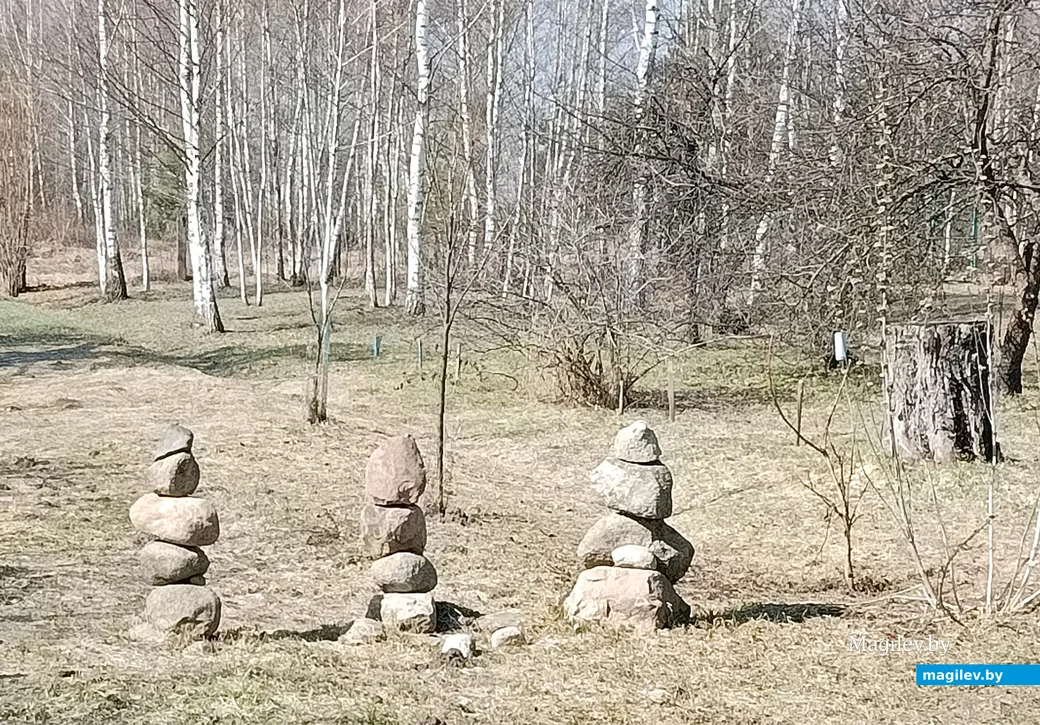  Сакавік 2026 г. Вёска Касарычы, Глускі раён.