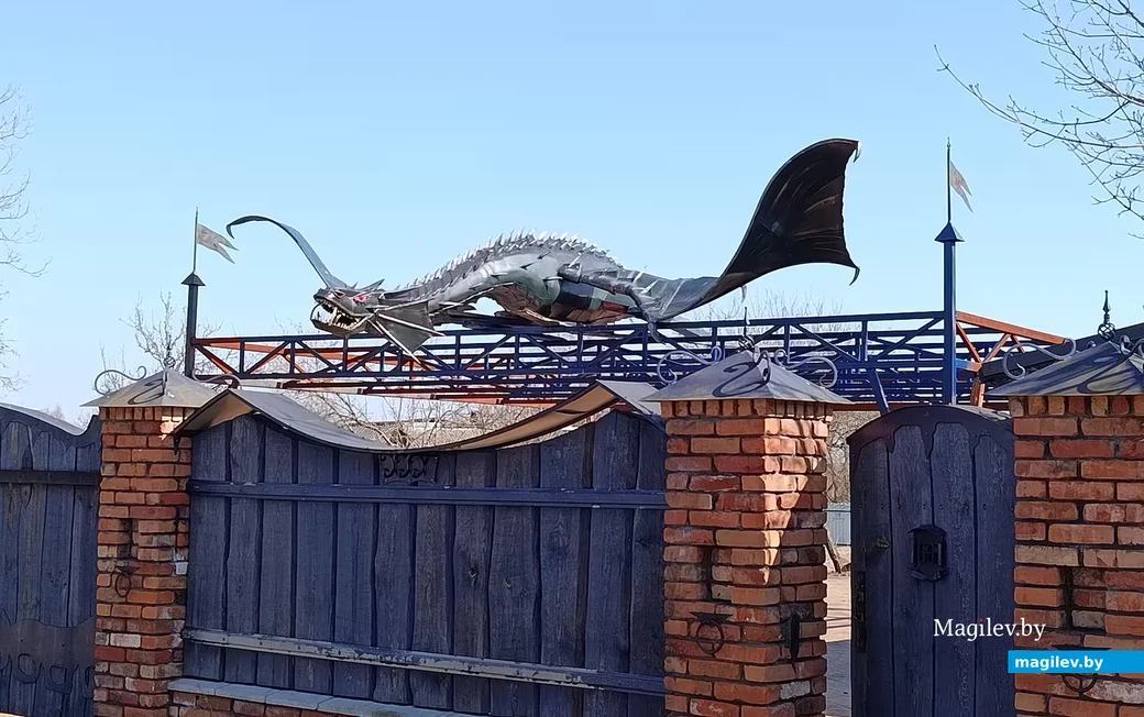  Сакавік 2026 г. Вёска Касарычы, Глускі раён. сядзібу ахоўвае цмок.