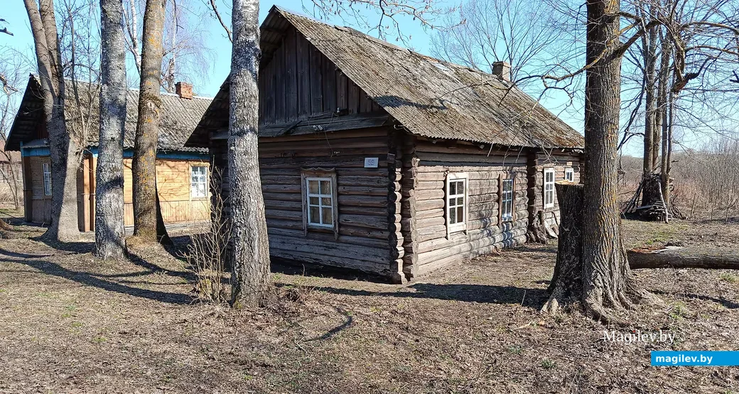  Сакавік 2026 г. Вёска Касарычы, Глускі раён.