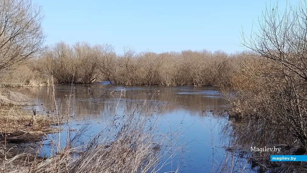   Сакавік 2026 г. Рака Пціч каля Касарыч. Разліў.