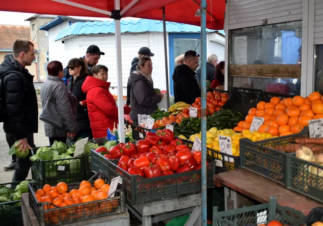 Редиска из «Тик-тока» и отвоеванные ягоды. Что почем на бобруйских рынках