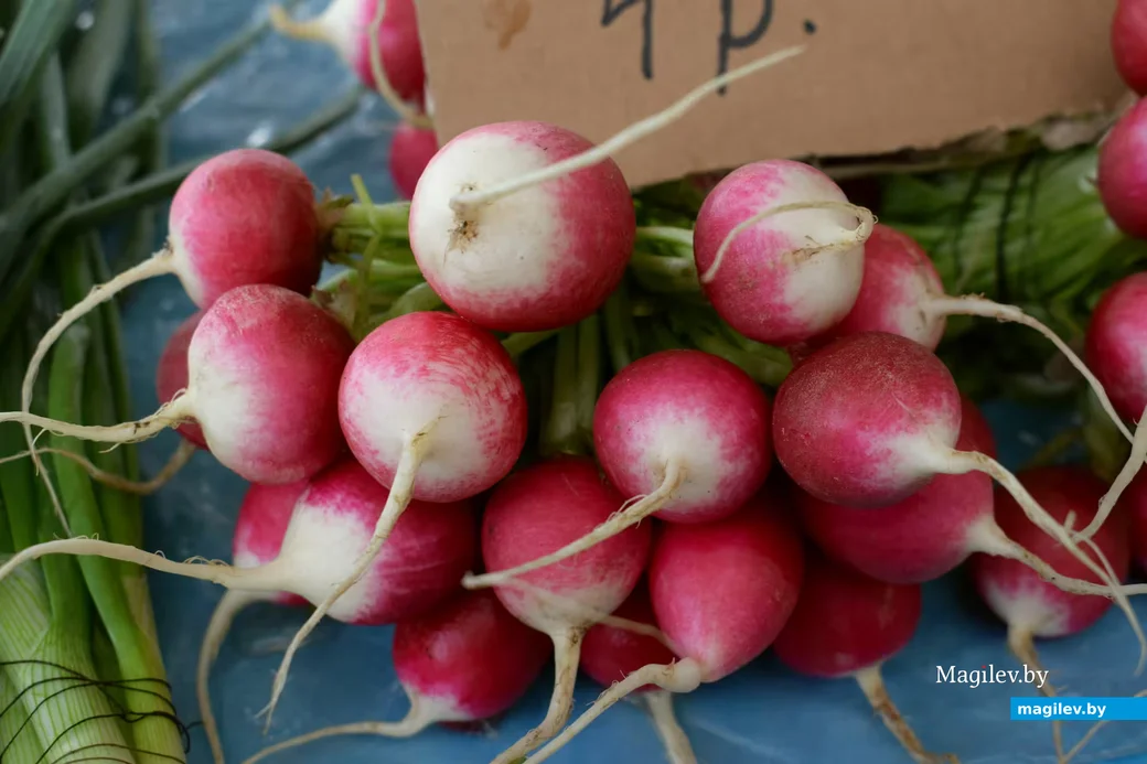 18.04.2026, Бобруйск, Западный рынок.