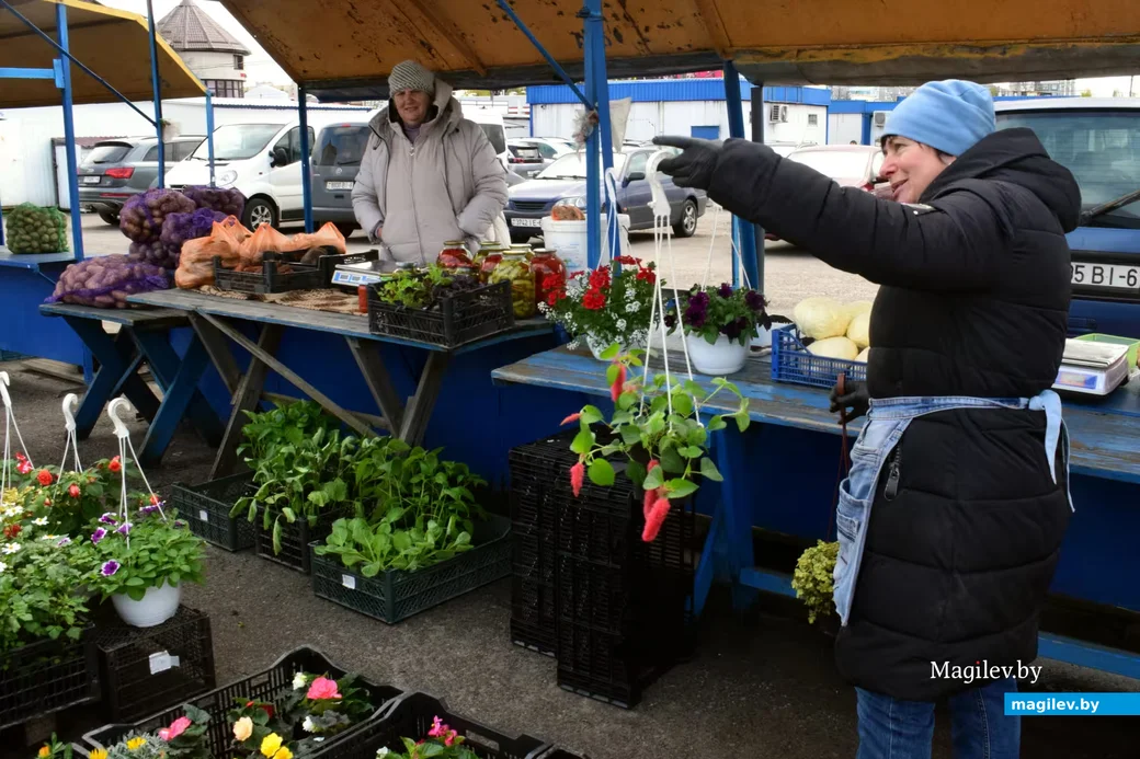 18.04.2026, Бобруйск, Западный рынок. Галина из Кировска 