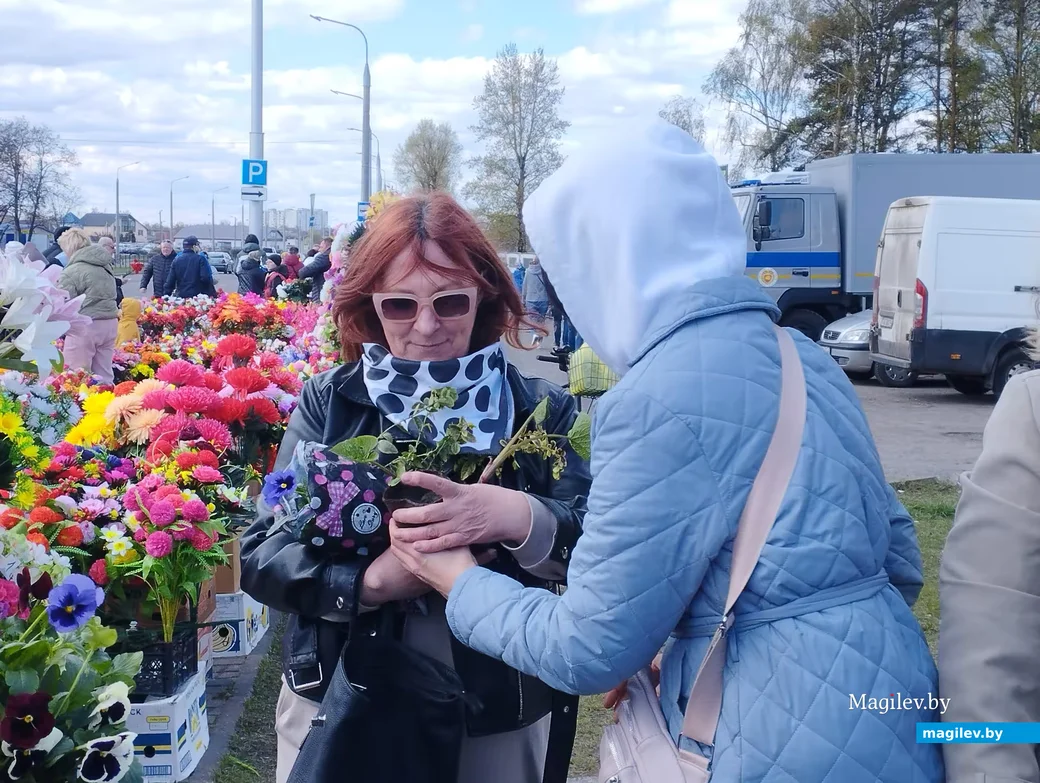 В Бобруйске прошла акция «Радуница без пластика» . 