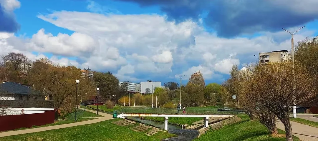 Могилевская Дубровенка и ее обитатели: у них тут свои дела