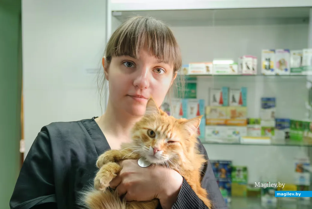 17.04.2026, Бобруйск. Любовь Тишкова, ветеринарная клиника «Симбавет»