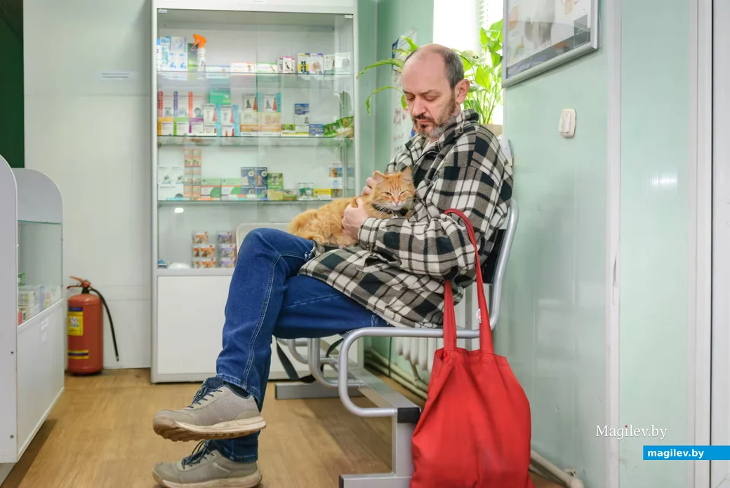 17.04.2026, Бобруйск. Ветеринарная клиника «Симбавет»