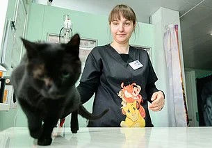 «Мы «топим» за вакцинацию». Ветеринары на службе охраны здоровья животных и людей