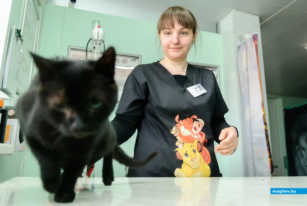 17.04.2026, Бобруйск. Любовь Тишкова, ветеринарная клиника «Симбавет»