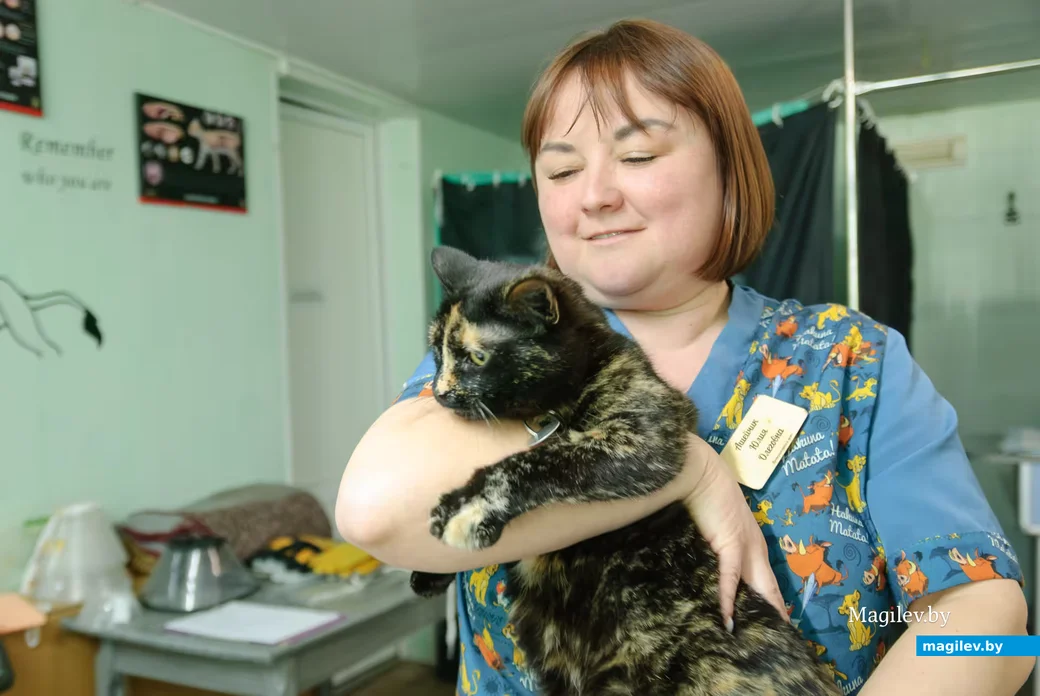 17.04.2026, Бобруйск. Юлия Ашейчик, ветеринарная клиника «Симбавет»