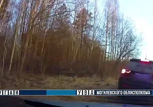 Бобруйская автоледи попалась пьяной за рулем. Уже не в первый раз