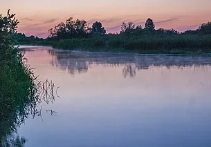 Белгидромет: спад уровней воды фиксируется на большинстве рек Беларуси