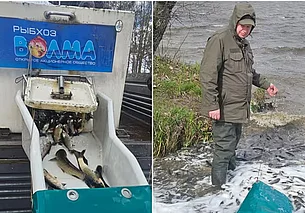 Около 9 тонн рыбы «заселили» в Чигиринское водохранилище