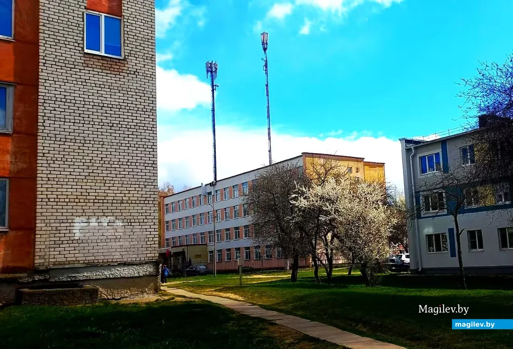   28.04.2026, Могилев. Город местами побелел.