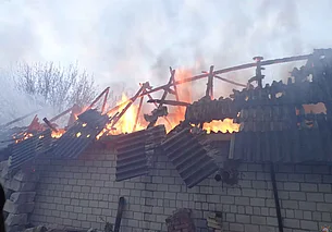 Пожилой мужчина погиб в горящем гараже в агрогородке Телуша Бобруйского района (видео)