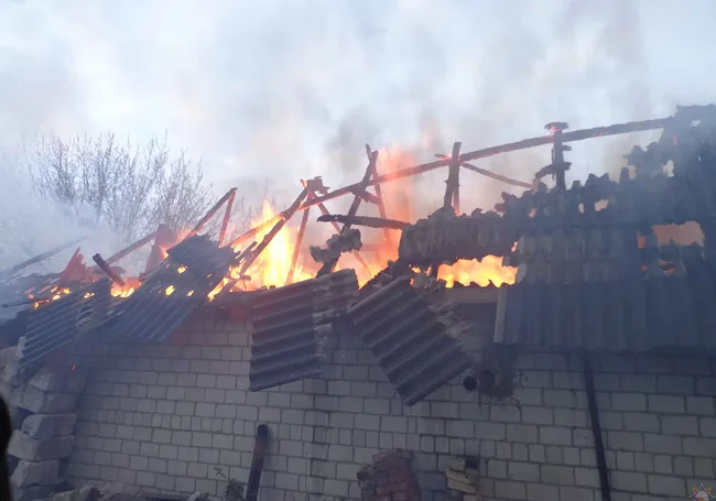 Пожилой мужчина погиб в горящем гараже в агрогородке Телуша Бобруйского района (видео)