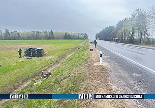 Лось выбежал на дорогу: в ДТП под Могилевом пострадали водитель из Бобруйска и пассажиры