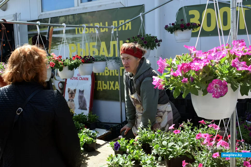 2/05/2026, Бобруйск, рынок на Красноармейской. Мария Шинкевич