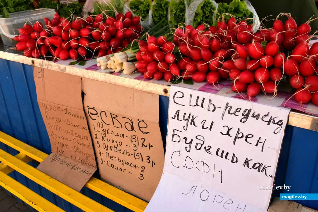 2/05/2026, Бобруйск, рынок на Красноармейской  