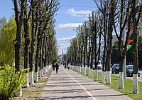 «Моя весна проходит с переживаниями и гордостью за деток, дочку и учеников»