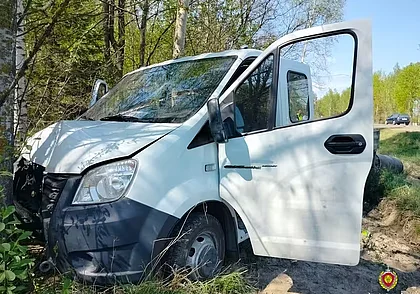 ДТП в Могилевском районе: грузовой автомобиль врезался в дерево, водитель погиб