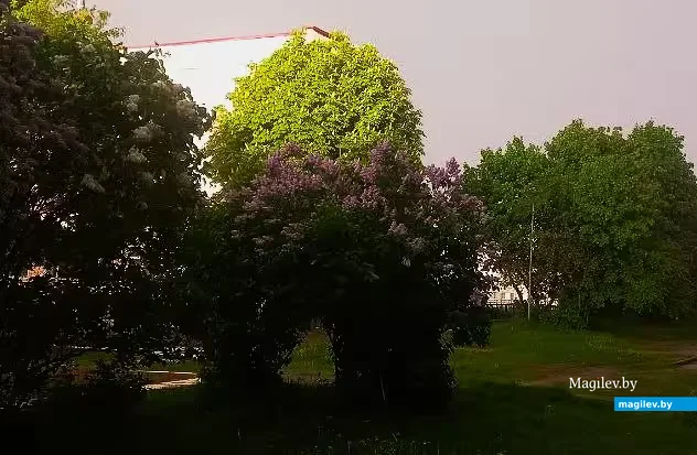  19.05.2026, Могилев, микрорайон Казимировка.