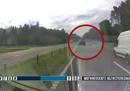 Птица стала причиной ДТП на трассе М-5 в Осиповичском районе