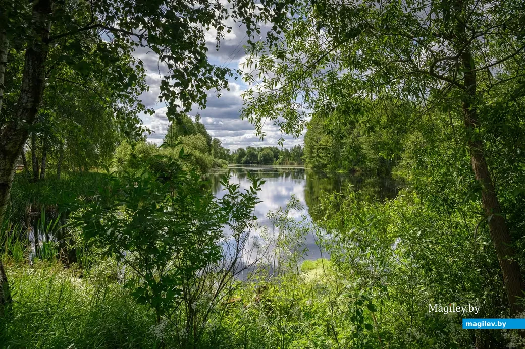 Бобруйский район. Фото: Александр Чугуев.