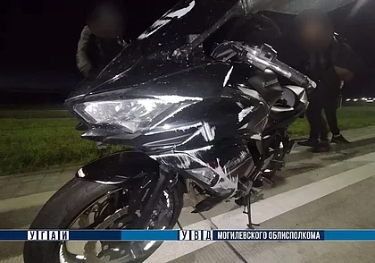 В Могилеве мотоциклист наехал на собаку и упал: пассажирка в больнице