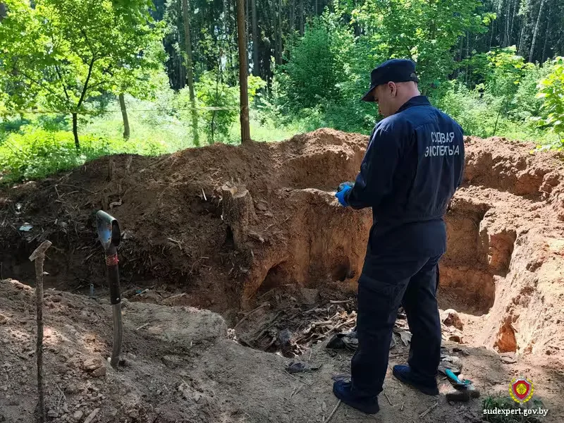  Фото: ГКСЭ Беларуси