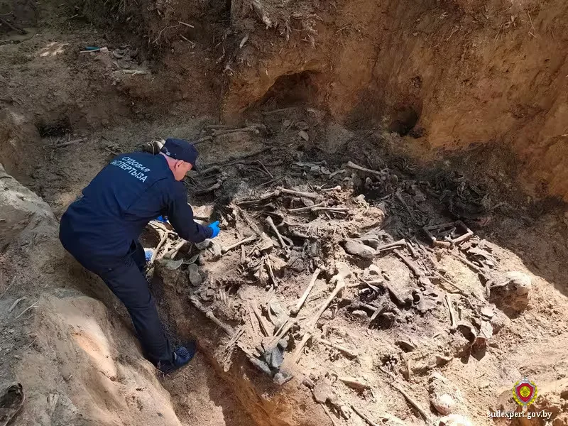  Фото: ГКСЭ Беларуси