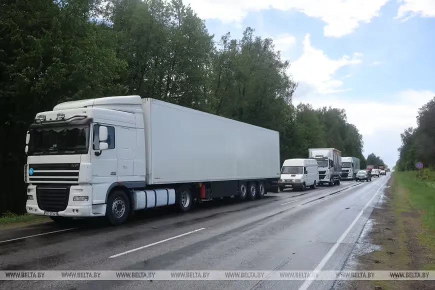 Упавшее на дорогу дерево стало причиной затора на трассе Бобруйск – Могилев сегодня, 27 мая,