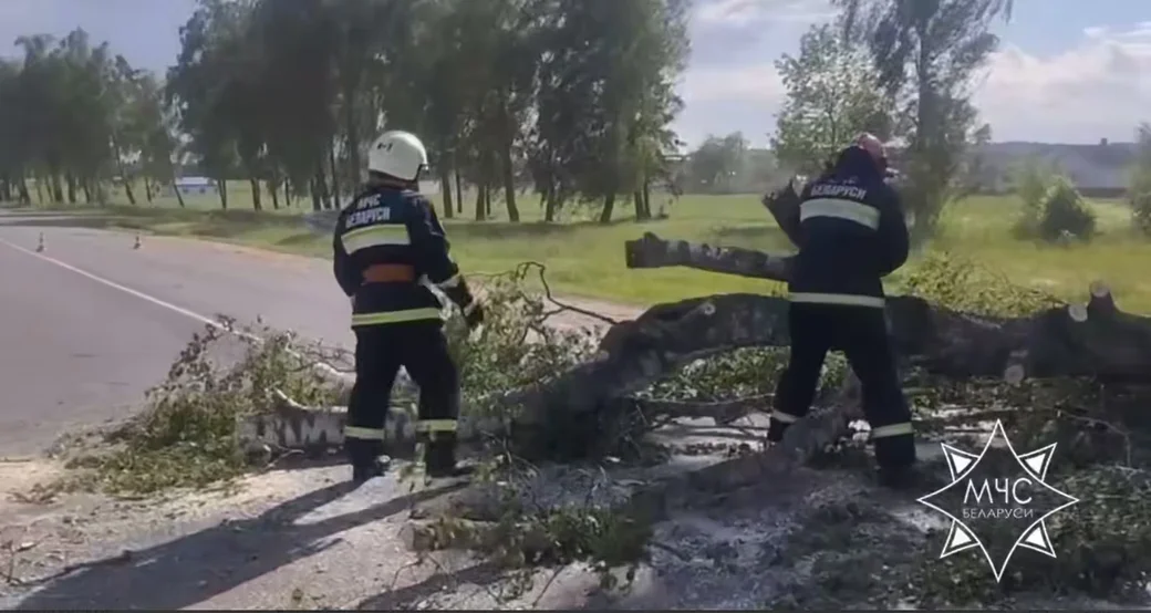 27.05.2026 г. Последствия непогоды. Скан с видео МЧС РБ