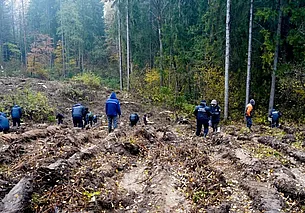 Высажено более 6 миллионов деревьев: в Беларуси подвели итоги акции «Дай лесу новае жыццё!»